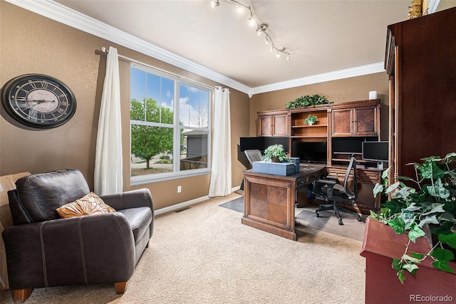 2349 Hickory Pl, Erie, CO 80516 - home office featuring visible vents, rail lighting, baseboards, ornamental molding, and light carpet