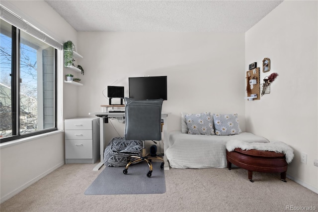 8773 W Cornell Ave Unit 10, Lakewood, CO 80227 - home office with healthy amount of natural light, light carpet, a textured ceiling, and baseboards