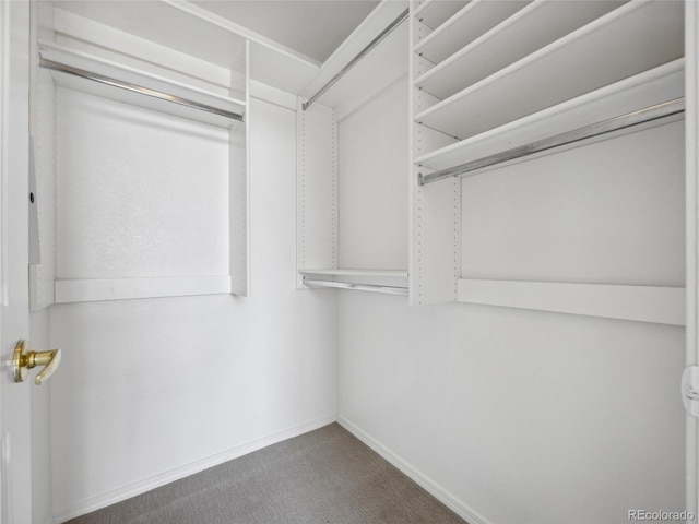 8621 E Dry Creek Rd Unit 325, Englewood, CO 80112 - spacious closet with carpet