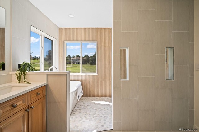 1511 Peninsula Cir, Castle Rock, CO 80104 - full bathroom featuring a freestanding bath and vanity