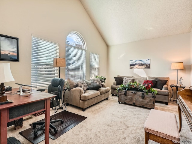 carpeted office space with high vaulted ceiling