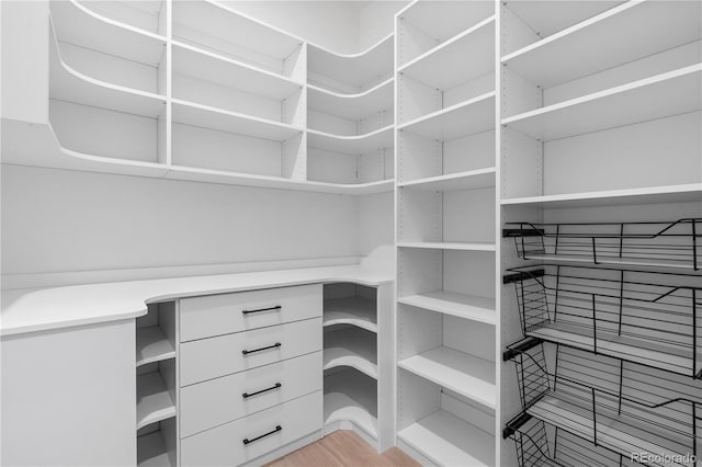 spacious closet with light wood-type flooring