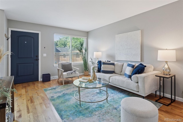 2854 N Lowell Blvd, Denver, CO 80211 - living room featuring light wood-style floors