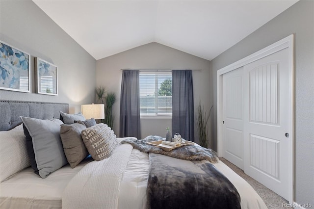 2854 N Lowell Blvd, Denver, CO 80211 - bedroom with vaulted ceiling, carpet flooring, and a closet