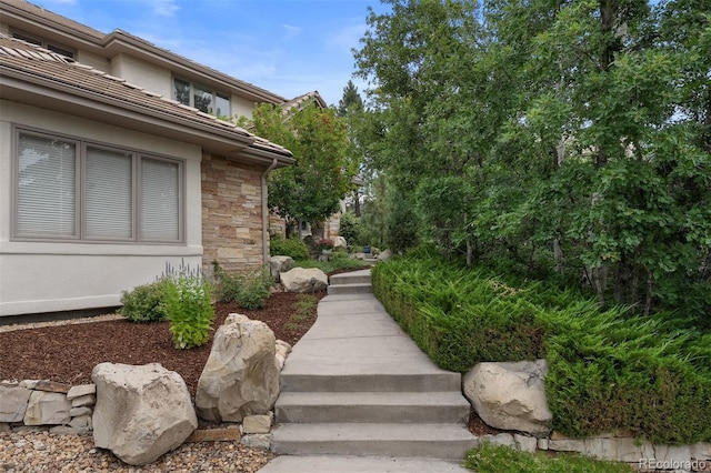 874 Wolverine Ct, Castle Rock, CO 80108 - photo 4