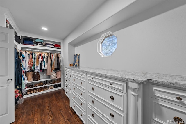 874 Wolverine Ct, Castle Rock, CO 80108 - photo 29