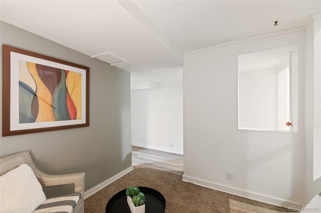 1120 N Clarkson St Unit 6, Denver, CO 80218 - living area featuring baseboards, attic access, and carpet flooring