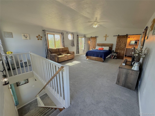 14 W 3rd St, Flagler, CO 80815 - bedroom with a barn door, vaulted ceiling, and carpet