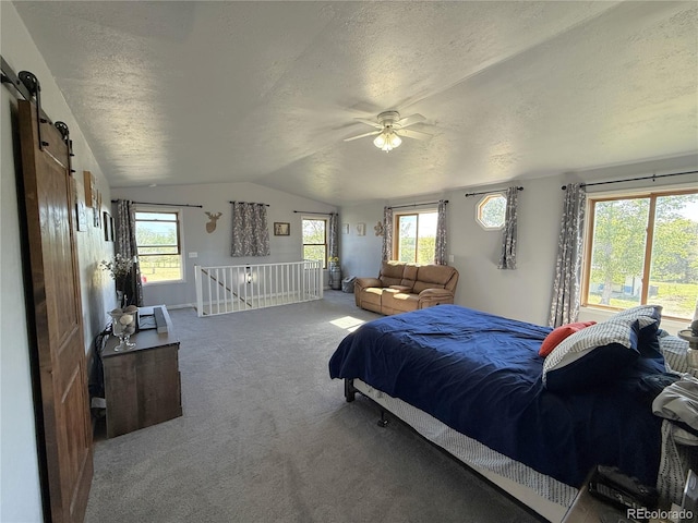 14 W 3rd St, Flagler, CO 80815 - bedroom featuring a textured ceiling, lofted ceiling, carpet flooring, a barn door, and multiple windows