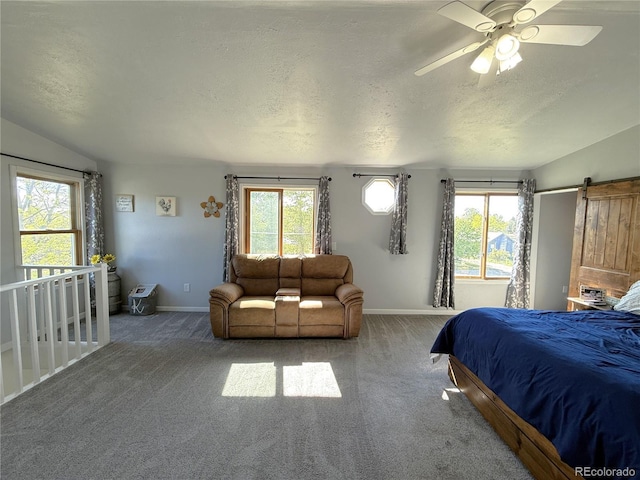 14 W 3rd St, Flagler, CO 80815 - carpeted bedroom with baseboards, a textured ceiling, multiple windows, a ceiling fan, and vaulted ceiling