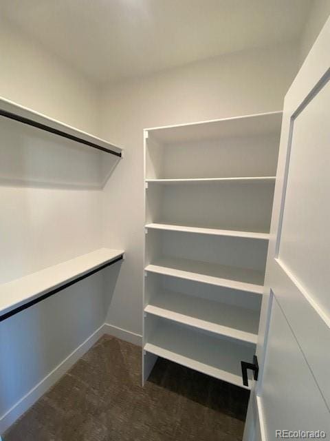 walk in closet featuring dark colored carpet