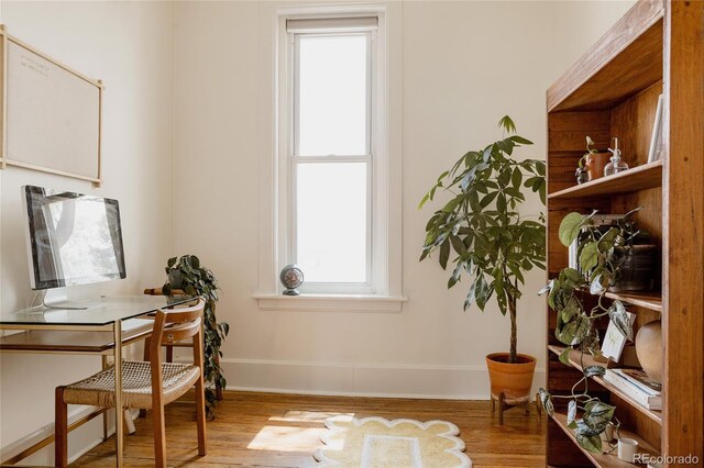office with baseboards and wood finished floors