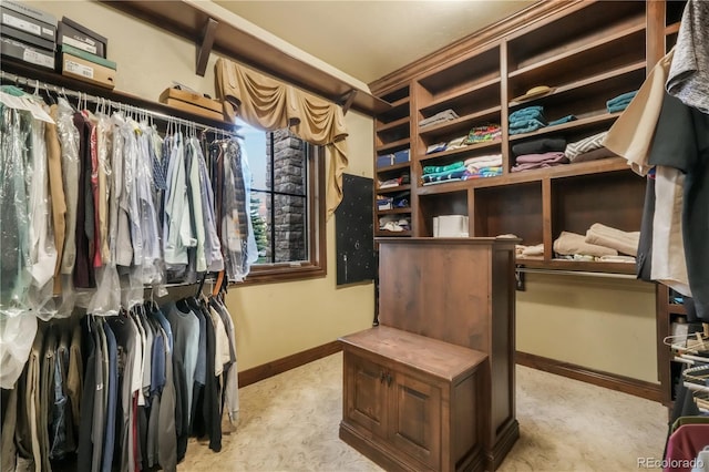 17540 Pond View Pl, Colorado Springs, CO 80908 - view of spacious closet