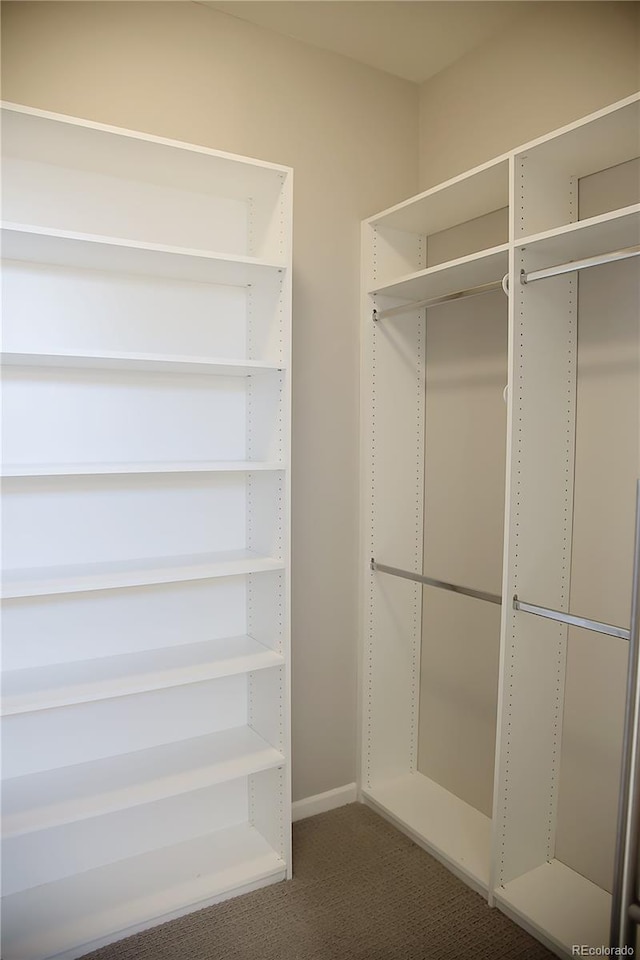 spacious closet featuring carpet flooring