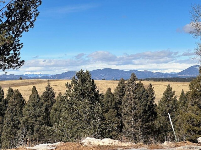 4600 Elk Valley Rd, Divide, CO 80814 - photo 1