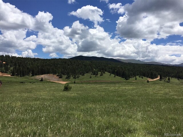 4600 Elk Valley Rd, Divide, CO 80814 - photo 2