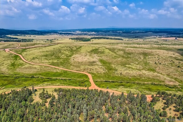 4600 Elk Valley Rd, Divide, CO 80814 - photo 3