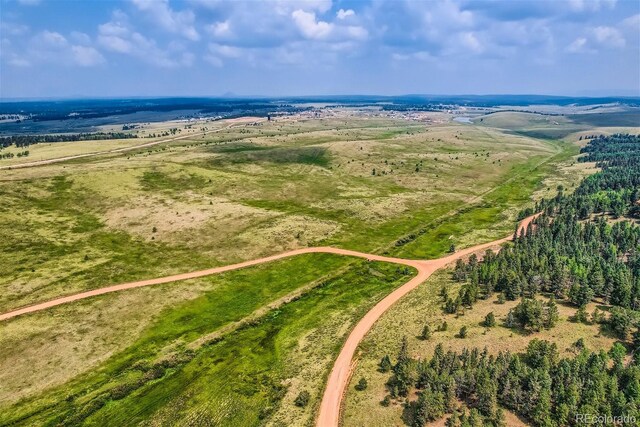 4600 Elk Valley Rd, Divide, CO 80814 - photo 4
