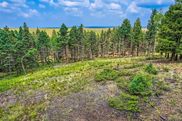 4600 Elk Valley Rd, Divide, CO 80814 - photo 5