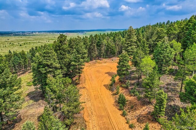 4600 Elk Valley Rd, Divide, CO 80814 - photo 6