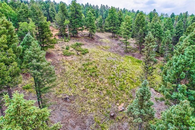 4600 Elk Valley Rd, Divide, CO 80814 - photo 8