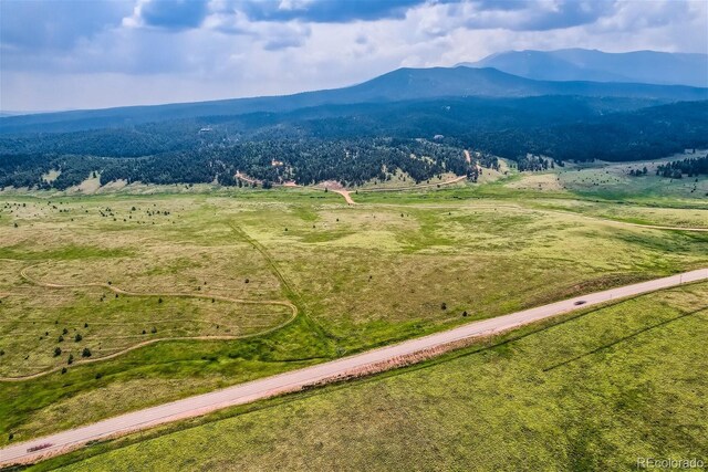 4600 Elk Valley Rd, Divide, CO 80814 - photo 9