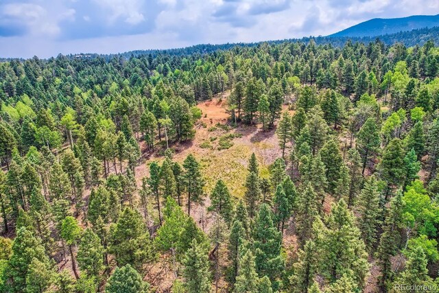 4600 Elk Valley Rd, Divide, CO 80814 - photo 11