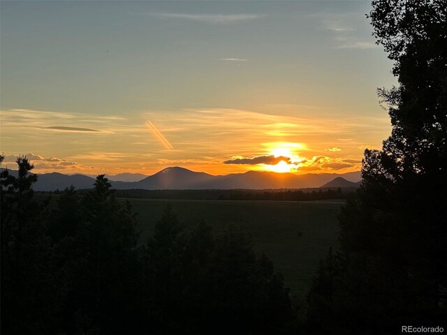 4600 Elk Valley Rd, Divide, CO 80814 - photo 14