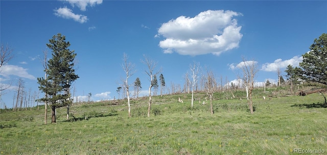 LOT2120 Sigler Dr, Fort Garland, CO 81133 - photo 2