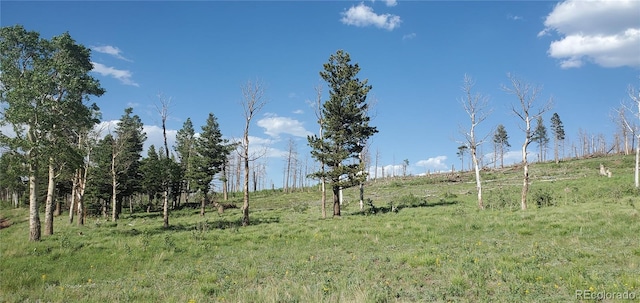 LOT2120 Sigler Dr, Fort Garland, CO 81133 - photo 5