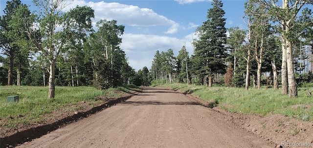 LOT2120 Sigler Dr, Fort Garland, CO 81133 - photo 11