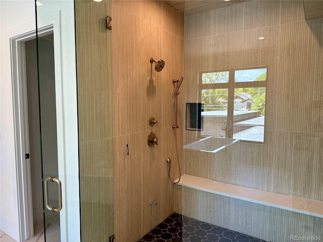 2442 S Saint Paul St, Denver, CO 80210 - full bath featuring a shower stall