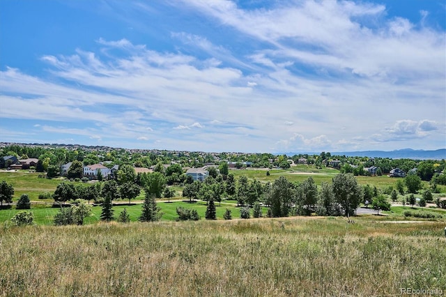 9875 Poppy Ct, Highlands Ranch, CO 80129 - photo 29