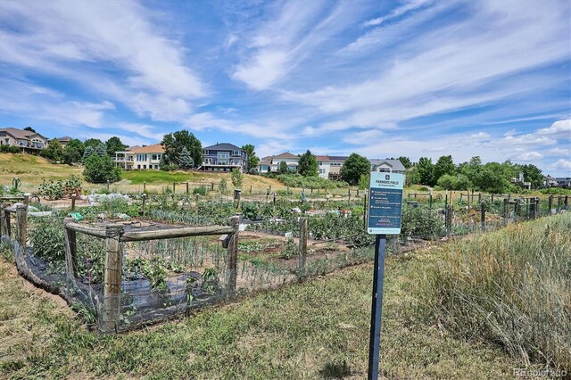 9875 Poppy Ct, Highlands Ranch, CO 80129 - photo 45