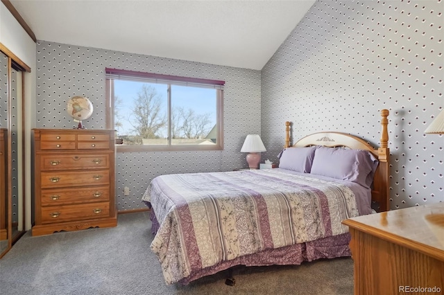 bedroom featuring a closet and dark colored carpet