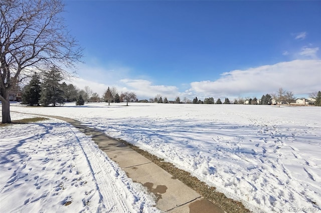 view of snowy yard