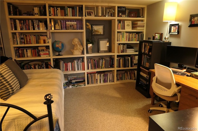 1936 S Poplar St, Denver, CO 80224 - office area featuring carpet flooring and wall of books