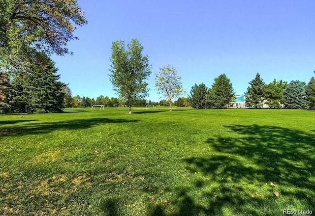 1936 S Poplar St, Denver, CO 80224 - view of yard