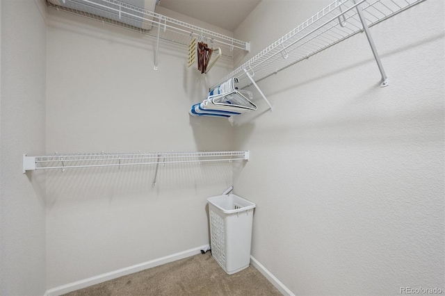14197 W 84th Cir Unit C, Arvada, CO 80005 - spacious closet featuring carpet floors