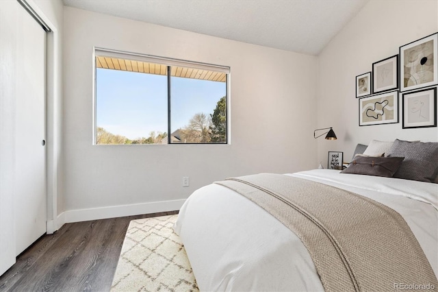 1820 Newland Ct Unit 210, Lakewood, CO 80214 - bedroom featuring baseboards, dark wood-type flooring, and a closet