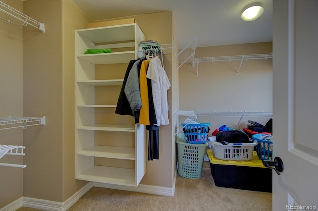 walk in closet featuring carpet flooring