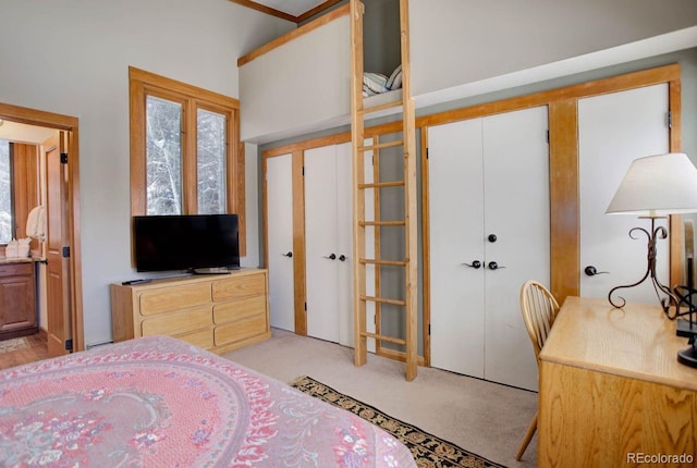 bedroom featuring light carpet, a closet, and ensuite bath