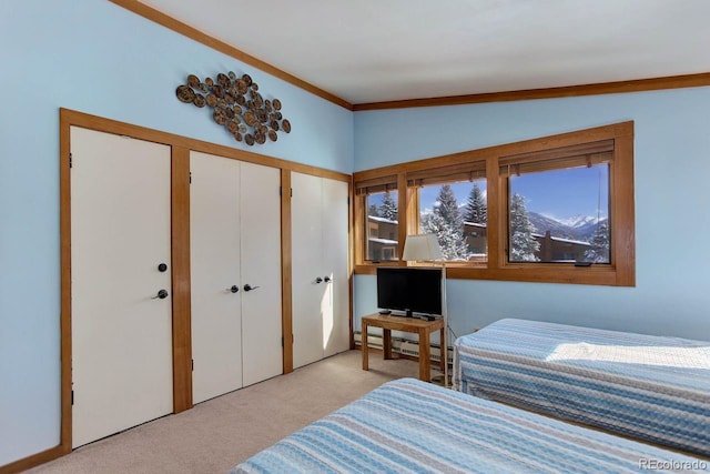 bedroom featuring crown molding, light colored carpet, vaulted ceiling, and baseboard heating