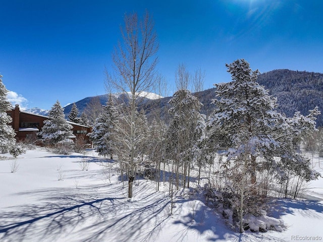 property view of mountains