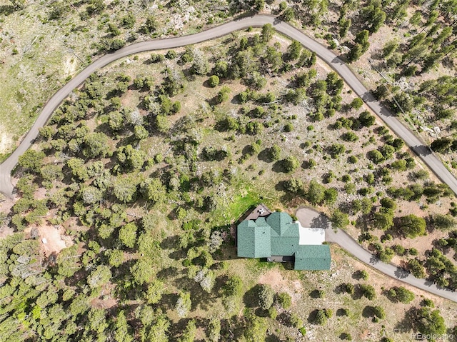 13954 Pine Country Ln, Conifer, CO 80433 - view of property location
