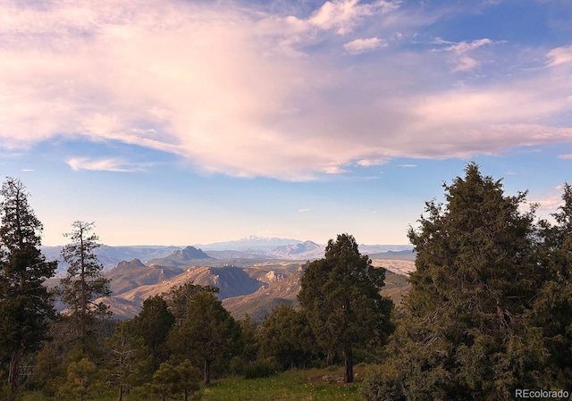 13954 Pine Country Ln, Conifer, CO 80433 - view of mountain background