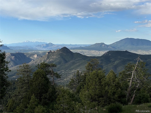 13954 Pine Country Ln, Conifer, CO 80433 - mountain view with a forest