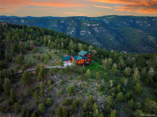 13954 Pine Country Ln, Conifer, CO 80433 - view of mountain background featuring a forest
