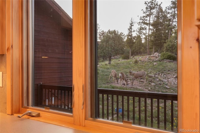 13954 Pine Country Ln, Conifer, CO 80433 - detailed view