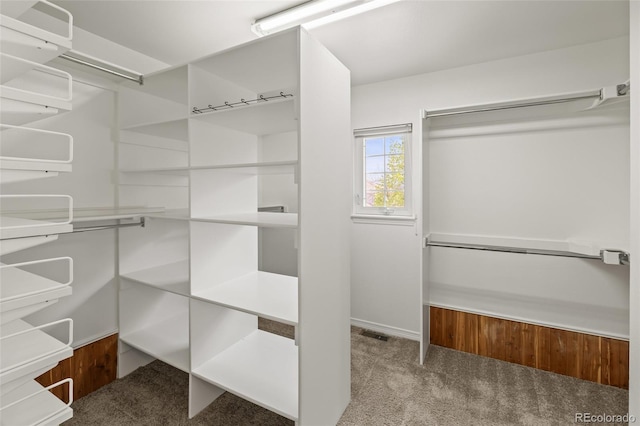 walk in closet featuring carpet floors